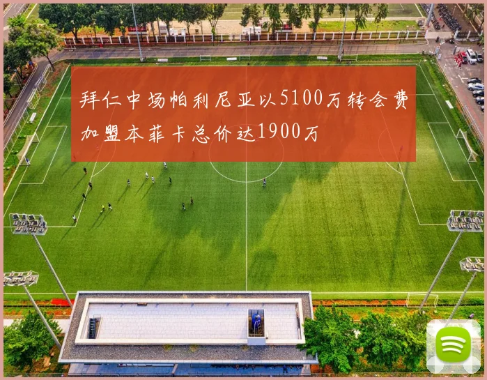 拜仁中场帕利尼亚以5100万转会费加盟本菲卡总价达1900万